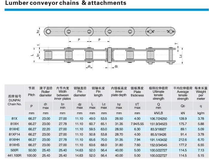 Transmission Conveyor Motorcycle/Timing /Bicycle Link Chain Roller Chain /Hollow Chain/ Industrial Steel Pintle Chain