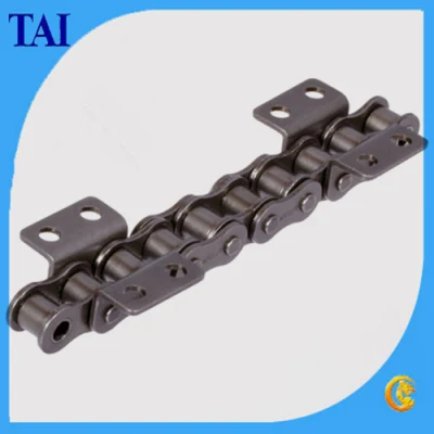 Roller Chain and Conveyor Chain